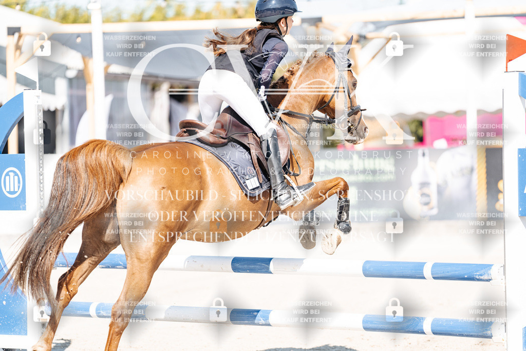 CK905170 | Turnierfotografie Pferdefotografie Trier Rheinland-Pfalz Pferdesport Reitsport Tierfotografie Sportfotografie Pferdevideo Pferdevideografie Equestrianvideography equestrianphotography  - Realisiert mit Pictrs.com