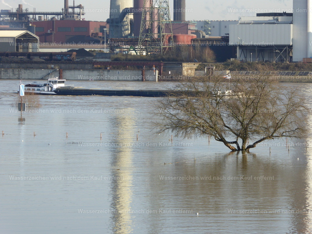 P1000734 | Entdecken Sie die faszinierende Welt von Norbert Michels: Surreale Kunstwerke, hochwertige Fotos, Leinwandbilder & Fotoprodukte wie Tassen mit bild7 - Realisiert mit Pictrs.com