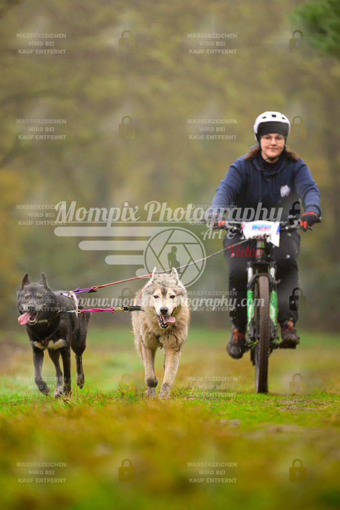 MompixPhotography_Bischwiller2025_Bike-152 | mompixphotography