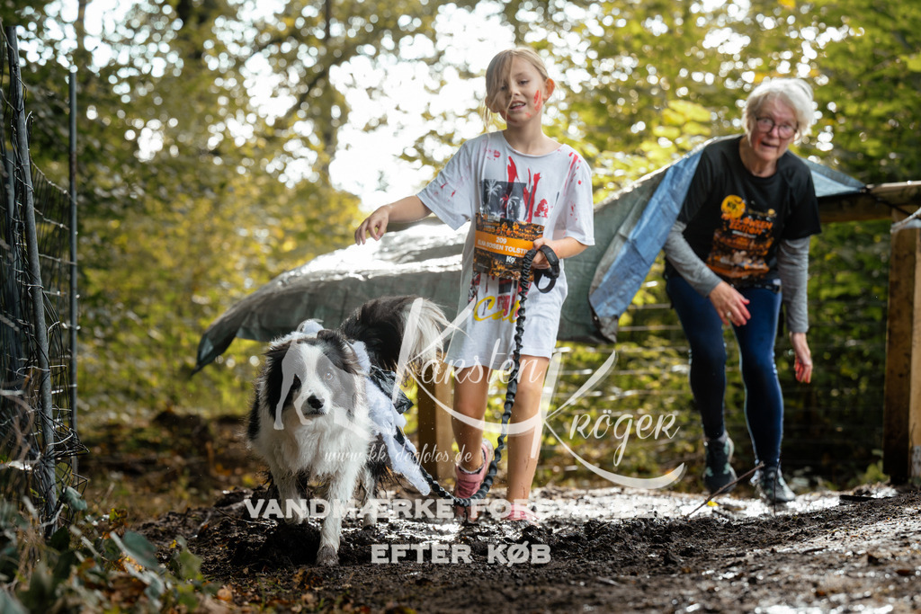 1459DZ6_4274Z6 | kk-dogfotos