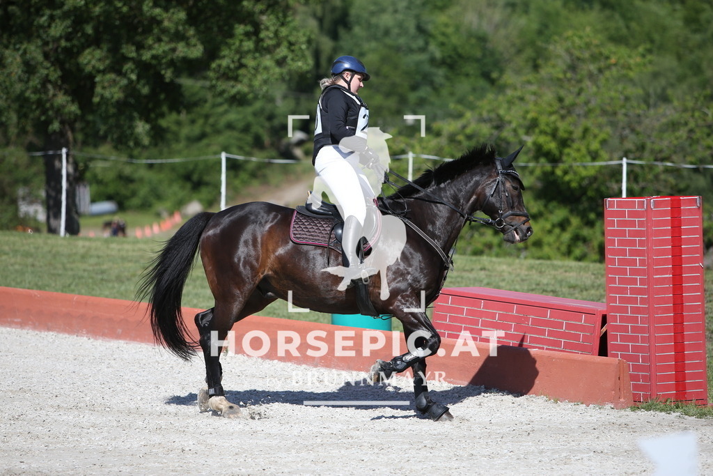 PP013464 | Willkommen bei Brunnmayr - Design & Fotografie – Ihrem Spezialisten für Reitturniere und Pferdeveranstaltungen in Oberösterreich, Salzburg und Bayern! Seit über 17 Jahren sind wir leidenschaftlich dabei.