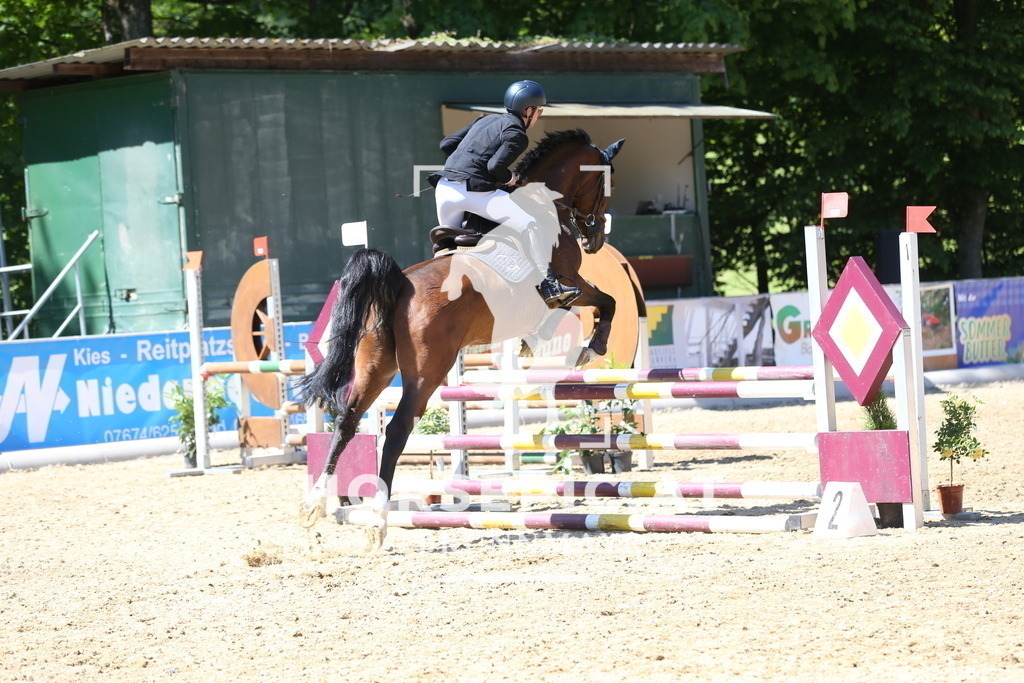 DL2Q1062 | Willkommen bei Brunnmayr - Design & Fotografie – Ihrem Spezialisten für Reitturniere und Pferdeveranstaltungen in Oberösterreich, Salzburg und Bayern! Seit über 17 Jahren sind wir leidenschaftlich dabei.