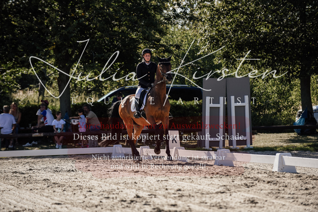 DSC_0320 | Pferde- und Turnierfotografie in Westsachsen. Pferdeportraits, Auftragszeichnungen und intuitive Kunst.
