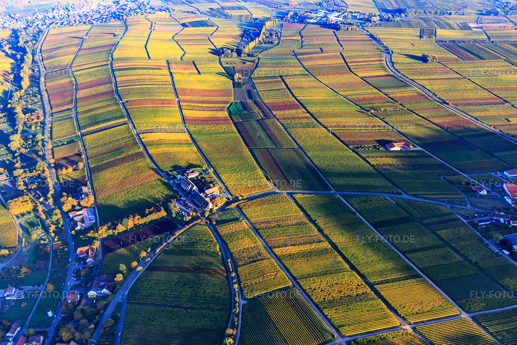 Luftbild: Hotel Leinsweiler Hof zwischen berbstlicht bunten Weinbergen in Leinsweiler im Bundesland Rheinland-Pfalz in Deutschland. Foto: IMG_095726.jpg vom 30.10.2016 durch Werner Riehm/FLY-FOTO.deUnvergessliche Momente im Urlaub - Leinsweiler Hof