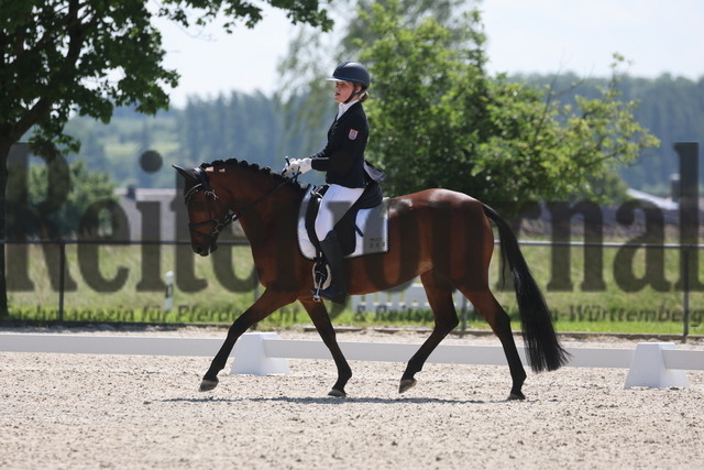 Rot am See_2024_Prfg.Nr.21_Qual.BCH_und_LCH_5-jähr.Ponys_Stella Zimmermann_Duchess Darcy (7) | Alle Fotos der Reiterjournal Fotografin Doris Matthaes im Reiterjournal Online-Fotoshop. - Realisiert mit Pictrs.com