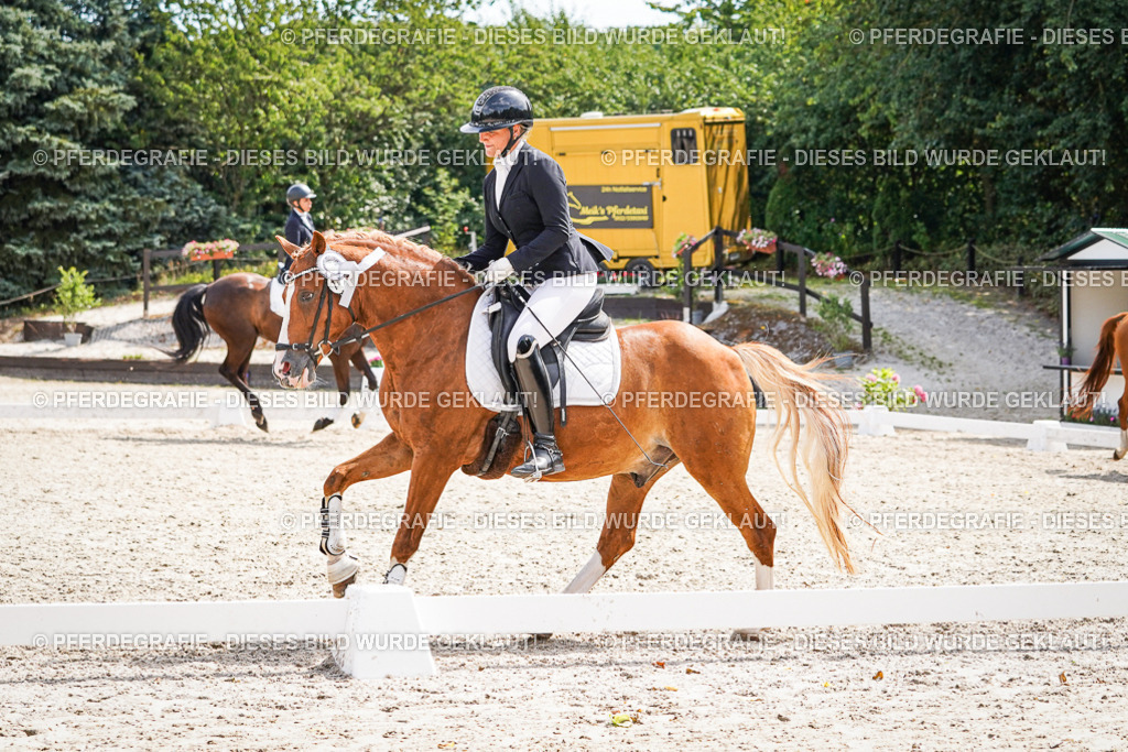 DSC02370 | Pferdegrafie