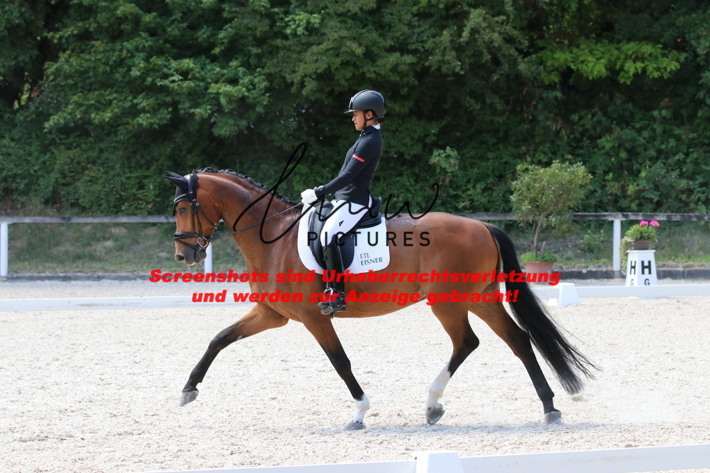 IMG_5010 | lmwpictures - Realisiert mit Pictrs.com