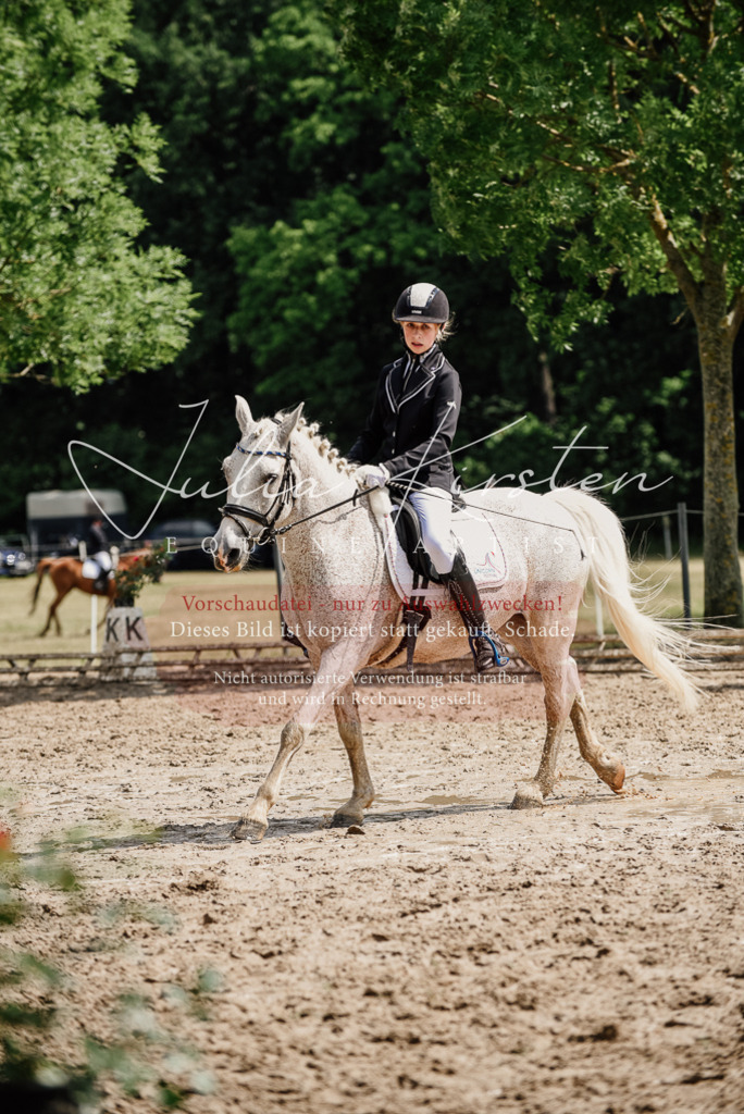 DSC_0541 | Pferde- und Turnierfotografie in Westsachsen. Pferdeportraits, Auftragszeichnungen und intuitive Kunst.
