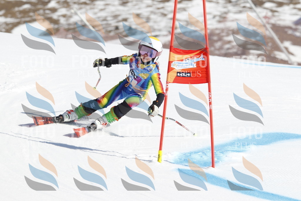 _U3G8877 | holidayphoto