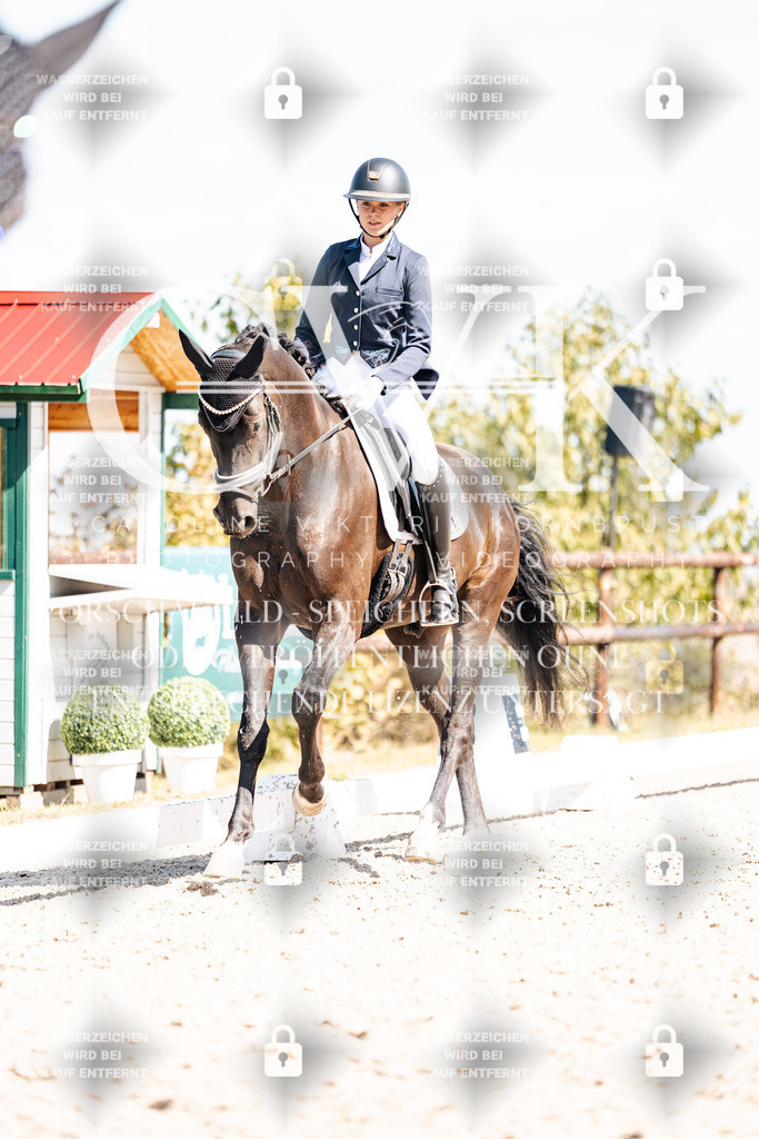 CK903450 | Turnierfotografie Pferdefotografie Trier Rheinland-Pfalz Pferdesport Reitsport Tierfotografie Sportfotografie Pferdevideo Pferdevideografie Equestrianvideography equestrianphotography  - Realisiert mit Pictrs.com