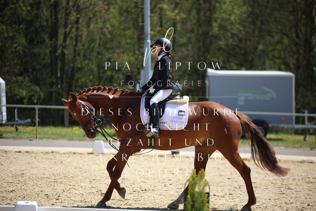 IMGT1277 | pl-fotografie