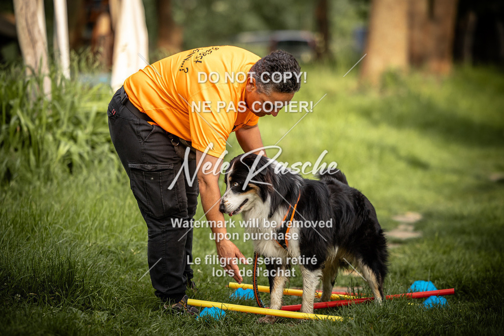 nelerasche_So-earlydog_76 | nelerasche