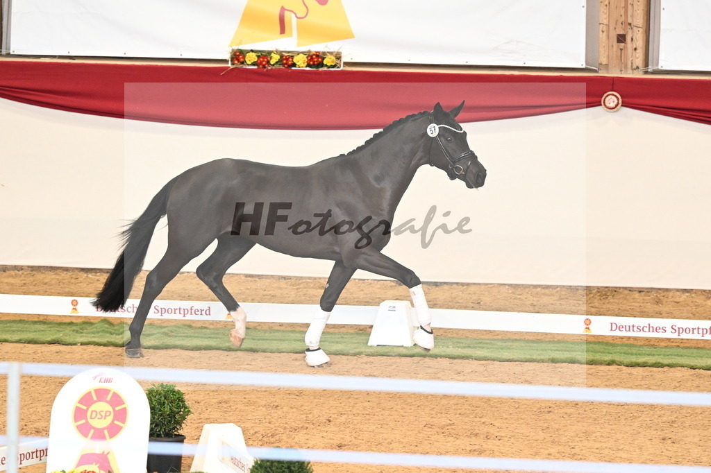 Kat.-Nr. 57 v. Feliciano_Vavrikova_3260615 | hf-fotografie - Realizzato con Pictrs.com