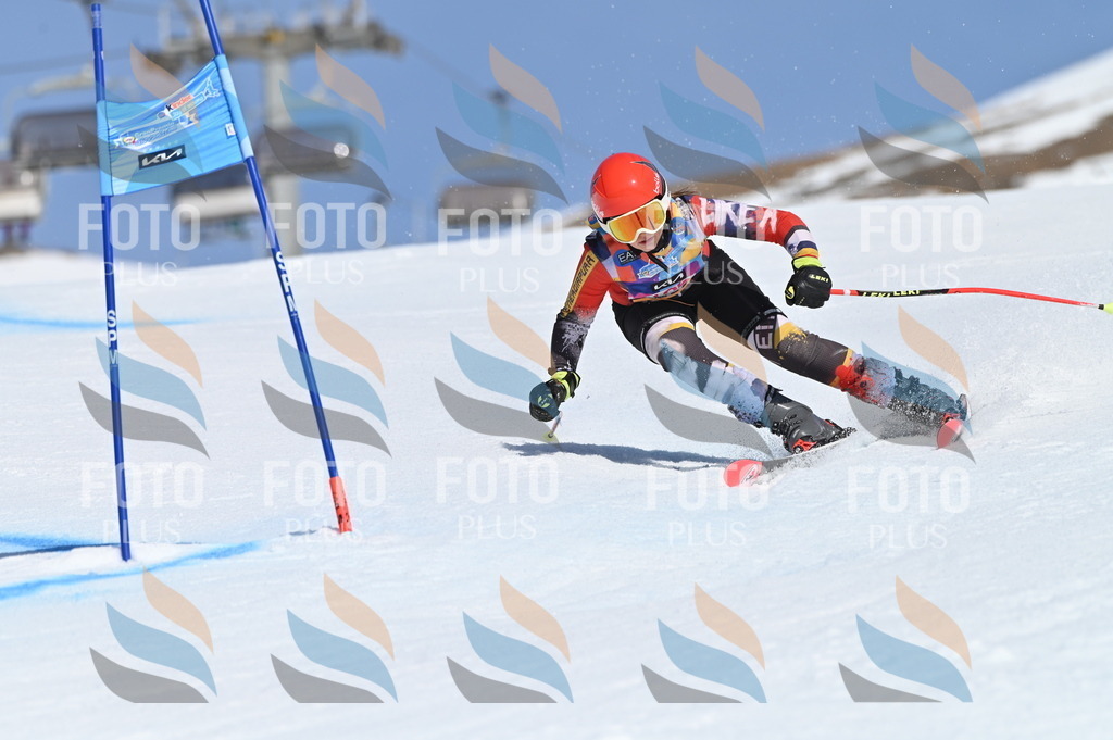 BGV_9564 | holidayphoto