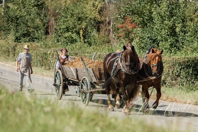 7V6A2130 | natalia-nirschl-photography