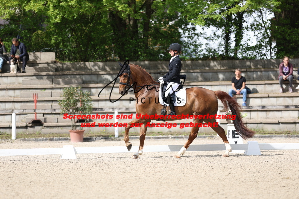 A40A4073 | lmwpictures - Realisiert mit Pictrs.com