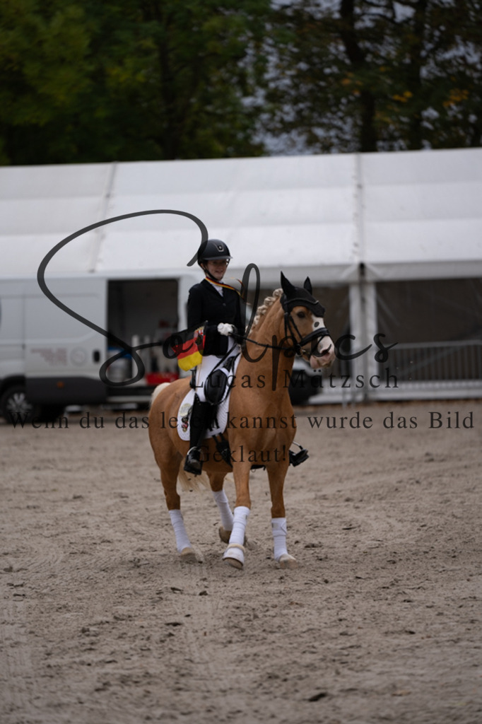 A7V01341 | Pferdefotograf