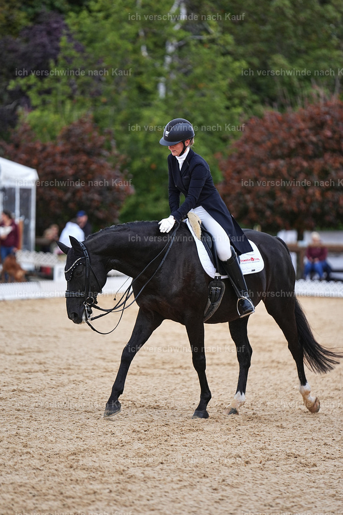 8_1-077-Klasse S_  -Marixx-4084 | working equitationturnier fotograf videograf stoibphotography marixx film working equitation deutschland reitsport turnierfotografie eventfotografie equestrian events