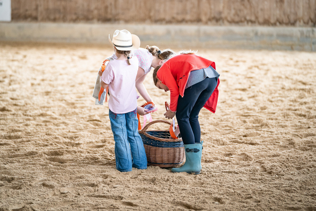DSC09245 | Pferdegrafie