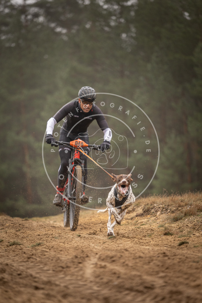 Pfotenfotografie_DV3A2499 | Hundefotografie, Tierfotograf, Pfotenfotografie, Fotoshooting Hund, Hunde Portrait, Hundesport, Hundeportraits, Heideshooting, Hunde, Sportfotograf, Hundefotograf, Turnierhundsport, THS,  - Realisiert mit Pictrs.com