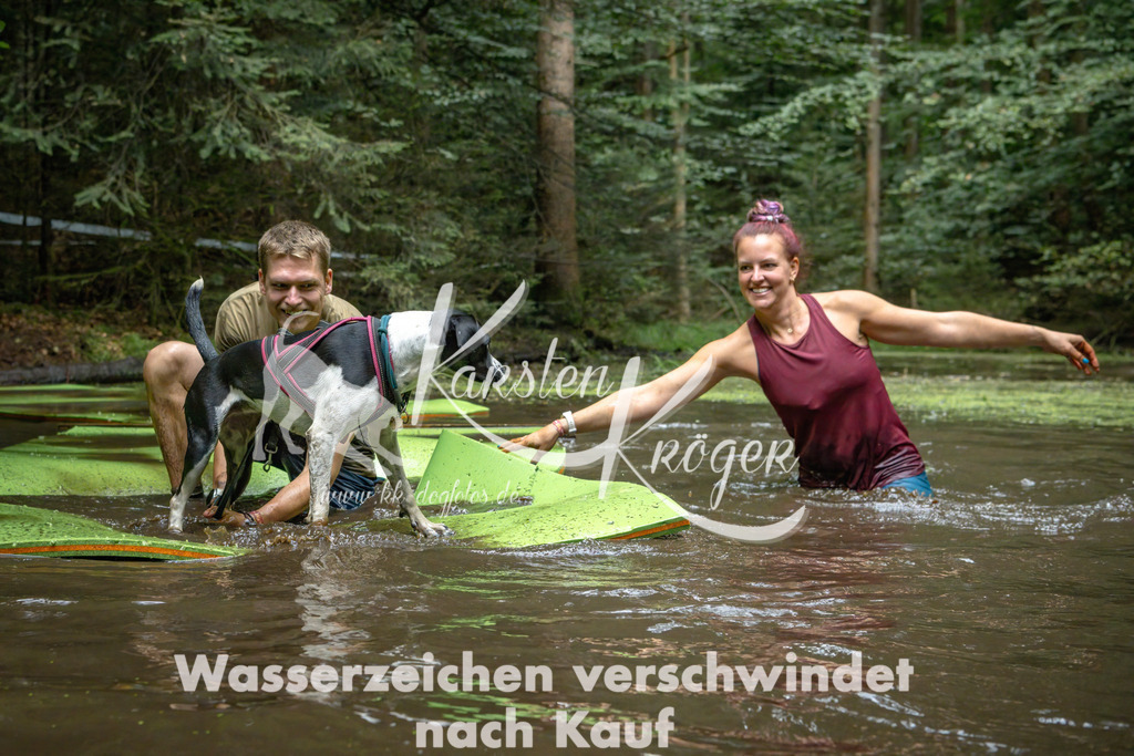 1533_ZZ91311-Bearbeitet | kk-dogfotos