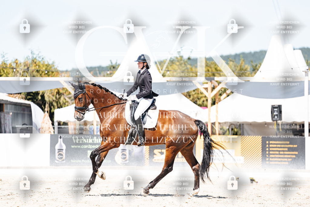 CK909793 | Turnierfotografie Pferdefotografie Trier Rheinland-Pfalz Pferdesport Reitsport Tierfotografie Sportfotografie Pferdevideo Pferdevideografie Equestrianvideography equestrianphotography  - Realisiert mit Pictrs.com