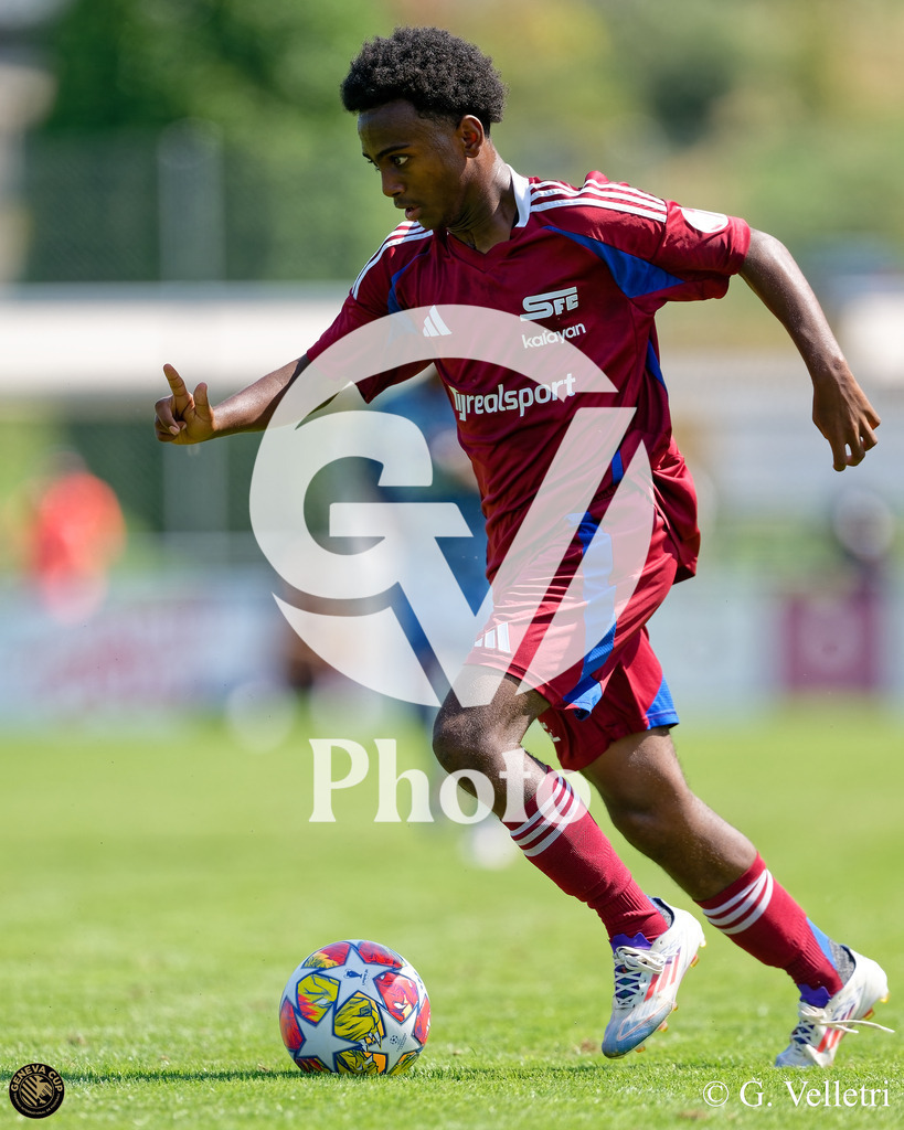 DZ9_5701 | Velletri Photo