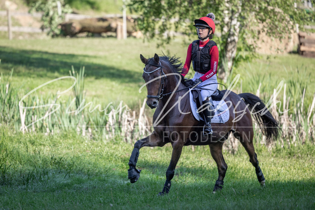 20260523-_3LI5946 | Tierfotografie Pferde, Hunde, Katzen, Haustiere.
Turnierfotografie Reitturniere, Reiten, Springreiten, Dressur in Hanau, dem Main-Kinzig-Kreis und dem Rhein-Main- Gebiet um Frankfurt