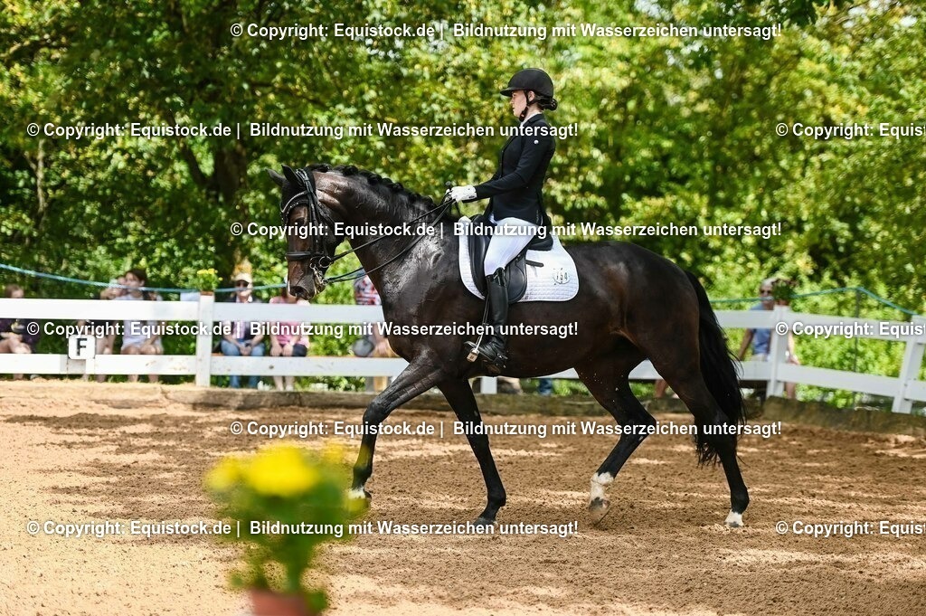20230716_01_Dressurprüfung Kl.M_0054 | equistock