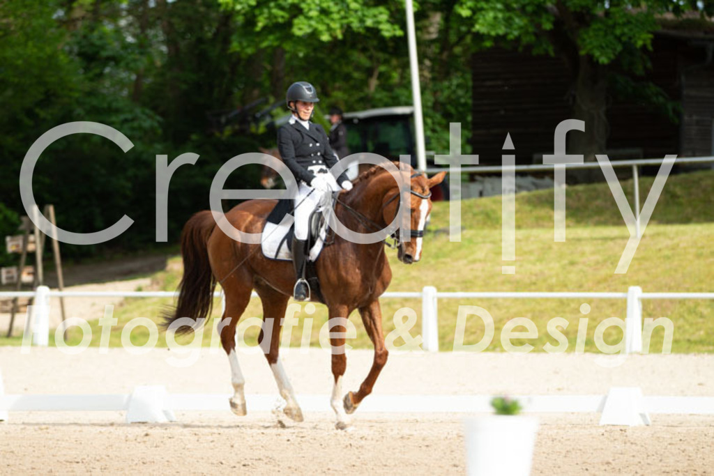 IMG_8442 | Creatify Fotografie