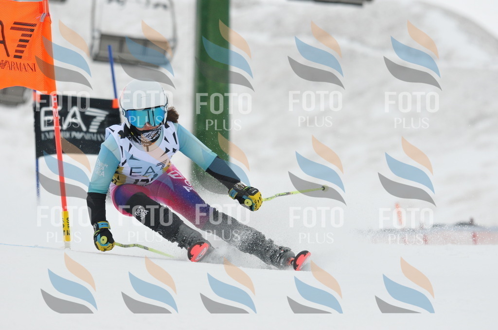 DSC_8884 | holidayphoto