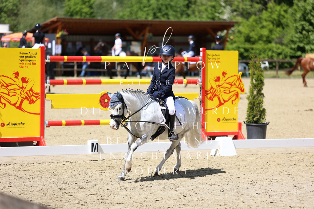 IMGS2559 | pl-fotografie