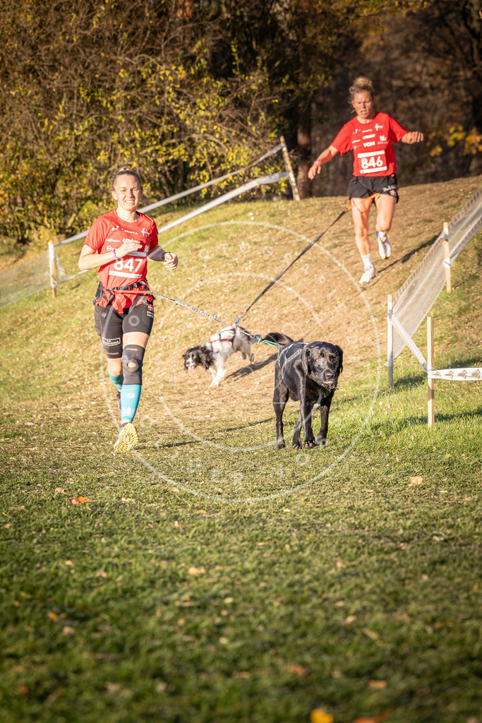 CaniXpix_0L8A0821 | Hundefotografie, Tierfotograf, Pfotenfotografie, Fotoshooting Hund, Hunde Portrait, Hundesport, Hundeportraits, Heideshooting, Hunde, Sportfotograf, Hundefotograf, Turnierhundsport, THS,  - Realisiert mit Pictrs.com