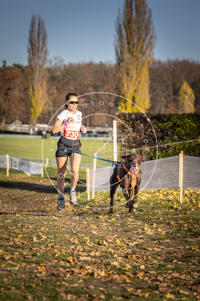 CaniXpix_DV3A2032 | Hundefotografie, Tierfotograf, Pfotenfotografie, Fotoshooting Hund, Hunde Portrait, Hundesport, Hundeportraits, Heideshooting, Hunde, Sportfotograf, Hundefotograf, Turnierhundsport, THS,  - Realisiert mit Pictrs.com