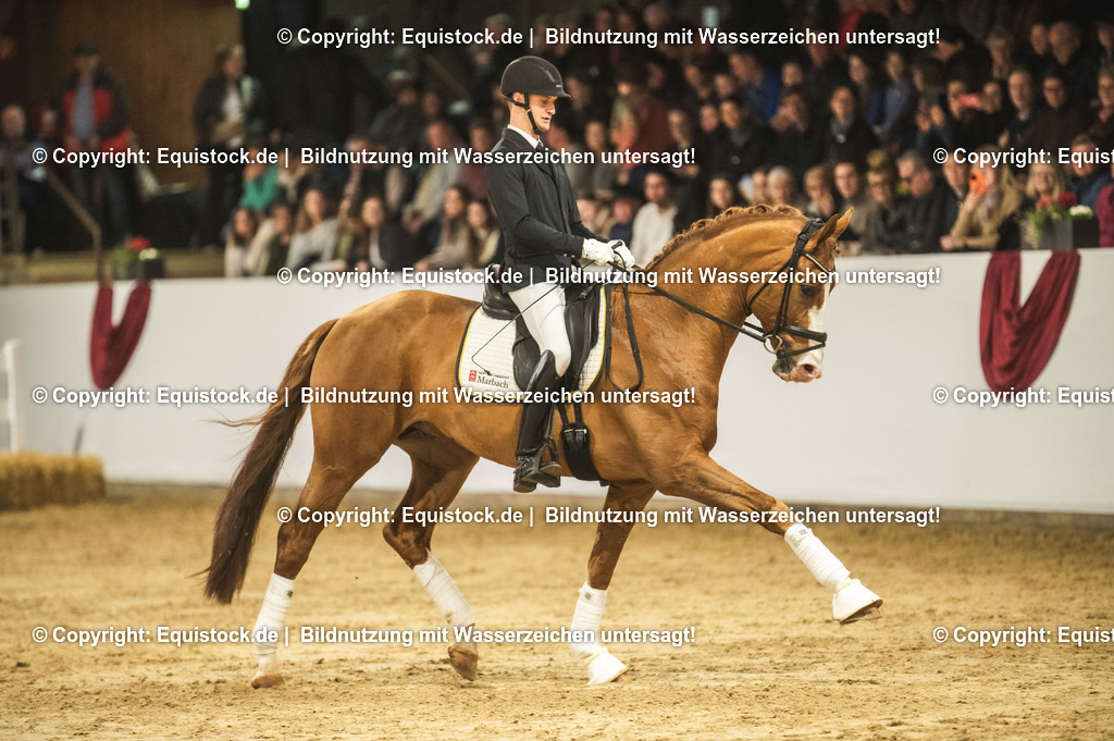20240302_Hengstvorstellung_Marbach_TOMsPiC_0522-2 | equistock
