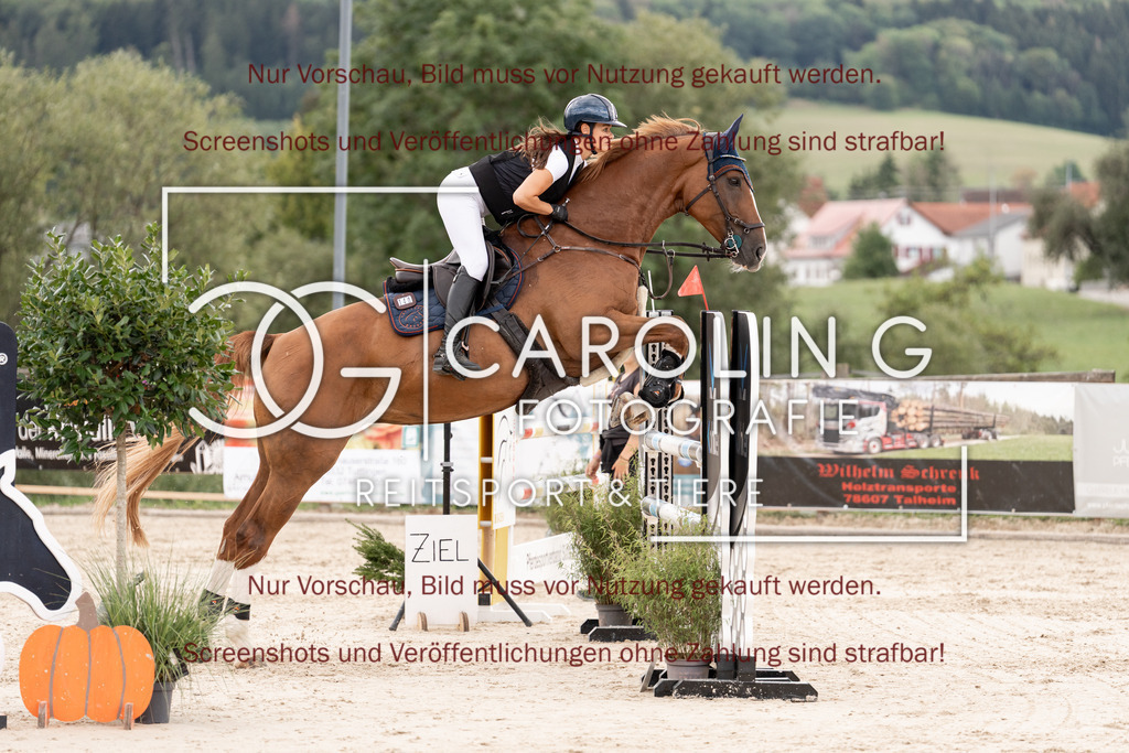 DSC06537 | Springturnier_Teamchallege_Talheim_2026, Alina_Rieker, Diamonique_Z
