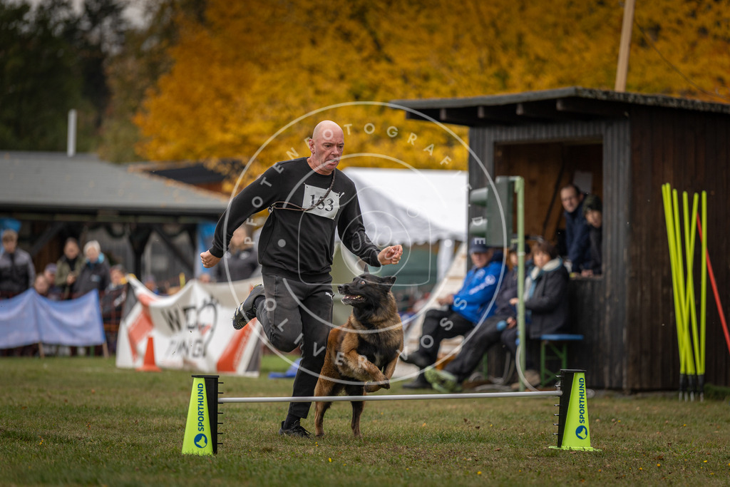 Pfotenfotografie_DV3A6051 | Hundefotografie, Tierfotograf, Pfotenfotografie, Fotoshooting Hund, Hunde Portrait, Hundesport, Hundeportraits, Heideshooting, Hunde, Sportfotograf, Hundefotograf, Turnierhundsport, THS,  - Realisiert mit Pictrs.com