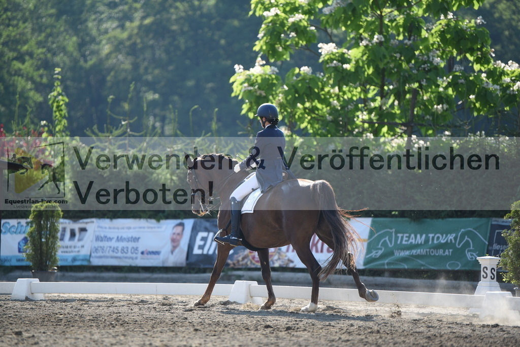DSC_3031 | equestrian-live-com