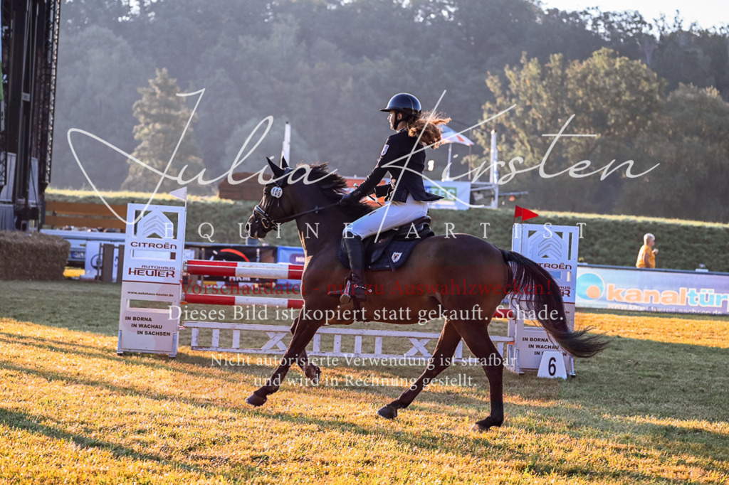DSC_3723 | Pferde- und Turnierfotografie in Westsachsen. Pferdeportraits, Auftragszeichnungen und intuitive Kunst.
