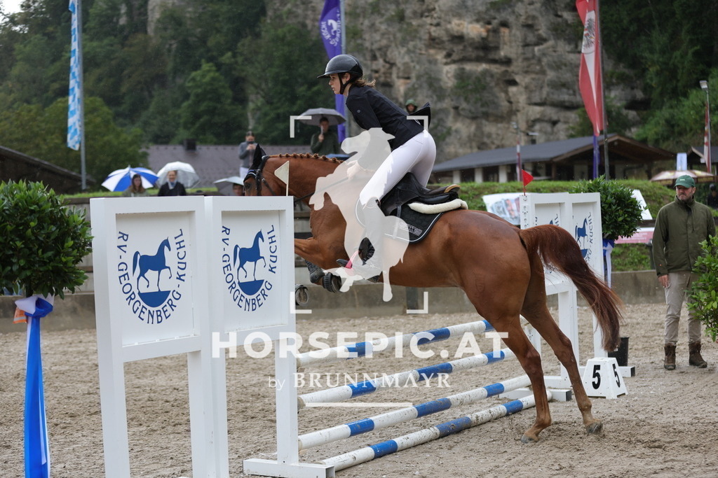 0P6A0796 | Willkommen bei Brunnmayr - Design & Fotografie – Ihrem Spezialisten für Reitturniere und Pferdeveranstaltungen in Oberösterreich, Salzburg und Bayern! Seit über 17 Jahren sind wir leidenschaftlich dabei.