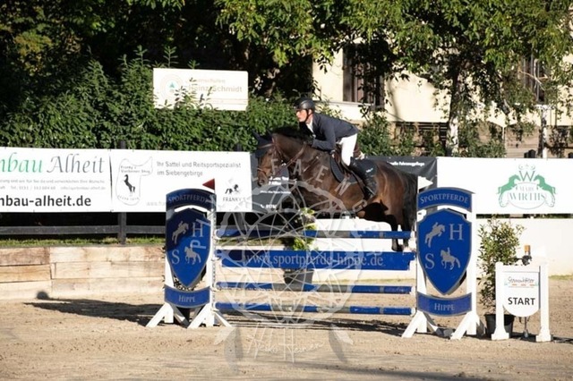 2B4A0827 | pixelfaenger - Realisiert mit Pictrs.com