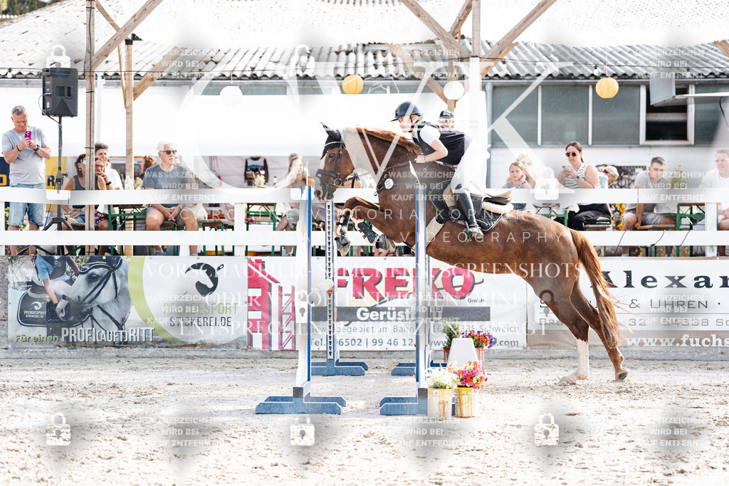 CK906031 | Turnierfotografie Pferdefotografie Trier Rheinland-Pfalz Pferdesport Reitsport Tierfotografie Sportfotografie Pferdevideo Pferdevideografie Equestrianvideography equestrianphotography  - Realisiert mit Pictrs.com