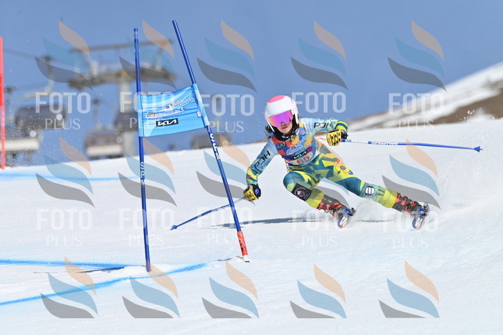 BGV_8822 | holidayphoto