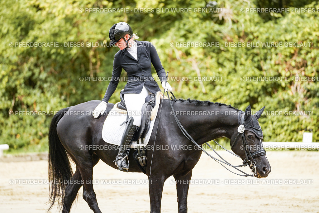 DSC03598 | Pferdegrafie