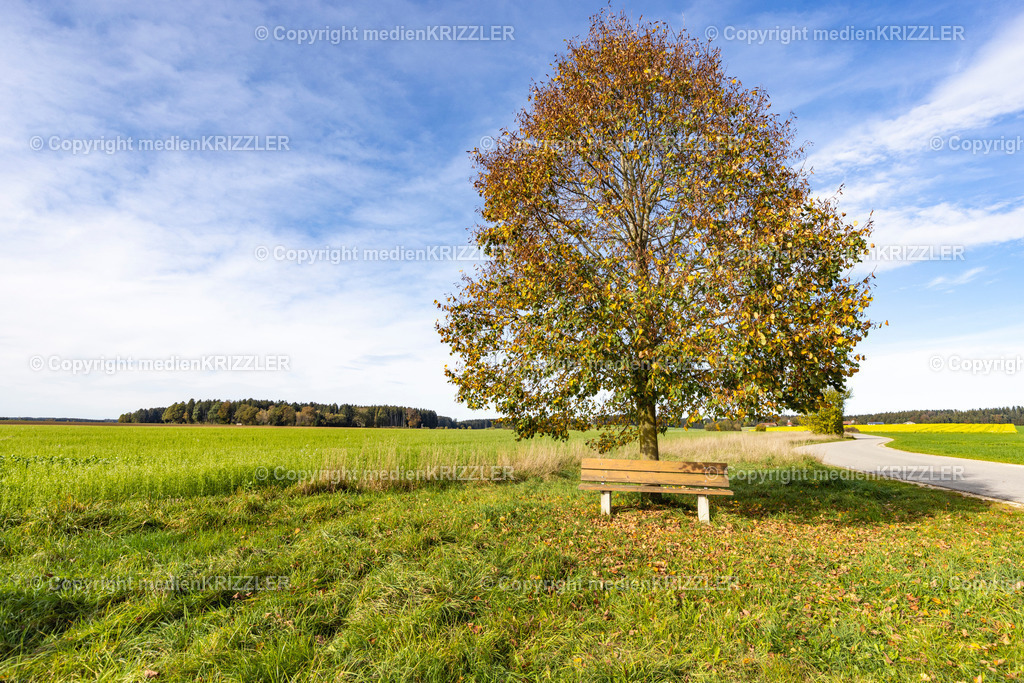 _J3A8913 | medienkrizzler - Realisiert mit Pictrs.com