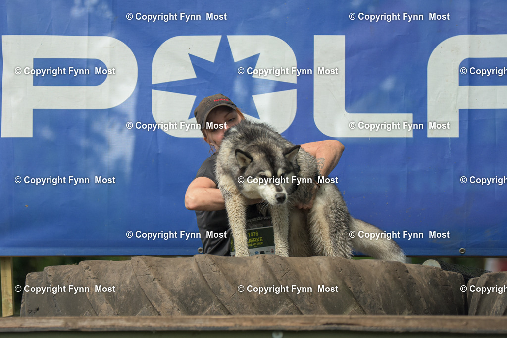 DSC_0849 | Hallo und herzlich Willkommen auf meiner Shop-Seite Fynn Most.

Ich wünsche Dir viel Spaß beim stöbern durch die Bilder, wenn Du Fragen hast oder Bilder vermisst, kannst du mir gerne eine Nachricht schreiben. - Realisiert mit Pictrs.com