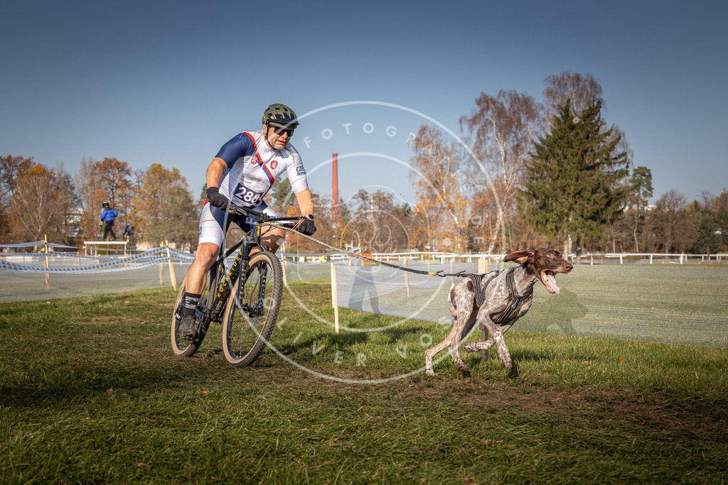 CaniXpix_0L8A6965 | Hundefotografie, Tierfotograf, Pfotenfotografie, Fotoshooting Hund, Hunde Portrait, Hundesport, Hundeportraits, Heideshooting, Hunde, Sportfotograf, Hundefotograf, Turnierhundsport, THS,  - Realisiert mit Pictrs.com