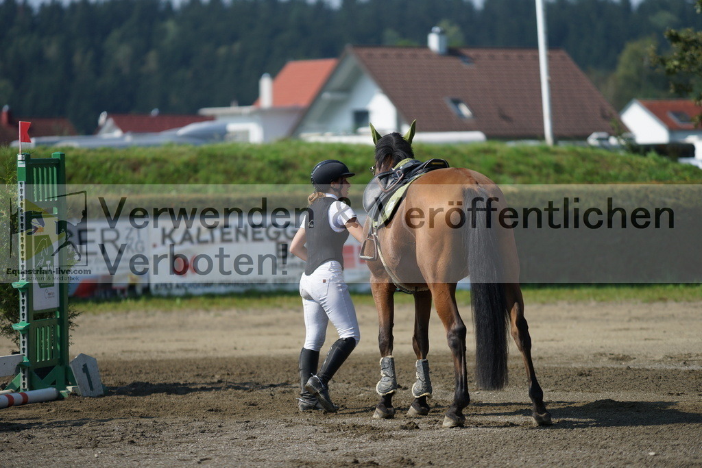 DSC03007 | equestrian-live-com