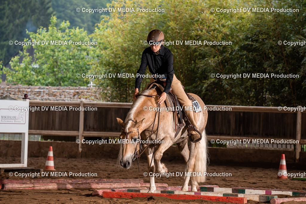 Erbach Tag 3-68 | dv-media-shop - Realisiert mit Pictrs.com