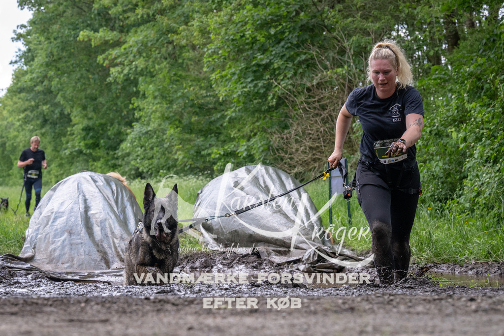 1247_ZZ93509 | kk-dogfotos